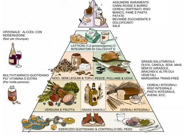 piramide alimentare harvard