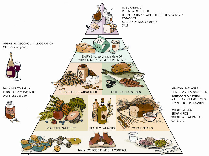 Food pyramid harvard