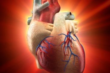 Qual è la prima “medicina” naturale approvata per la prevenzione di malattie cardiache?