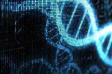 Genomi umano e microbico, applicazioni correnti e sviluppi futuri